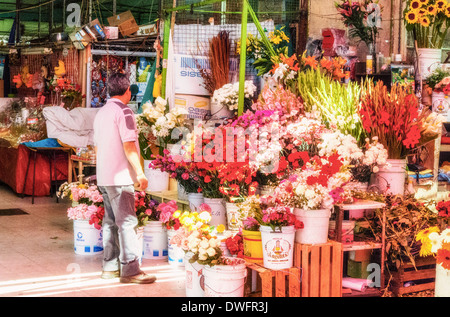 Photo taken inside a market in Mexico City Stock Photo