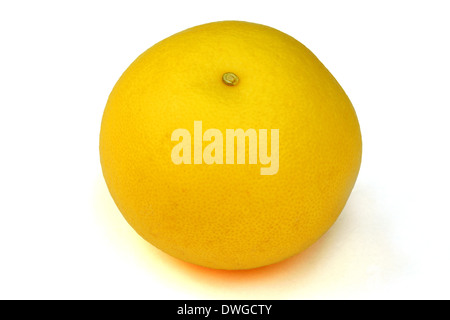 Yellow Grapefruit on white background Stock Photo