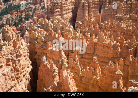 view of the bryce canyon Stock Photo