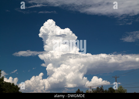 Thunderhead forming in clear sky Stock Photo