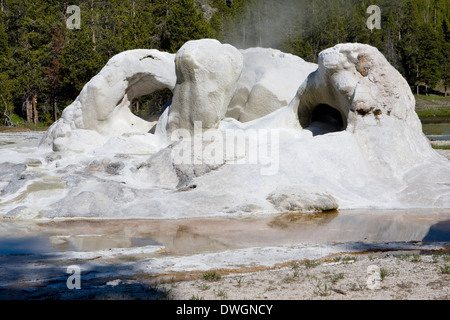 Grotto Geyser in Upper Geyser Basin, Yellowstone National Park, Wyoming. Stock Photo