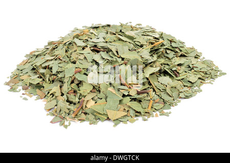 crushed eucalyptus leaves to prepare herbal tea on a white background Stock Photo