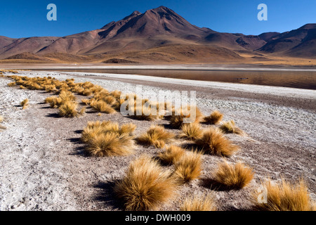 Laguna Miscanti and the Miniques Volcano high on the altiplano in the Andes Mountains in the Atacama Desert in northern Chile Stock Photo