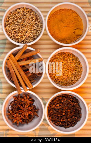 A range of spices - They are Coriander Seeds, Turmeric, Cinnamon Cannle, Dill Seeds, Star Anise. and Cloves. Stock Photo