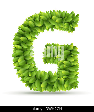 Letter G,  vector alphabet of green leaves Stock Photo