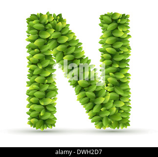 Letter N,  vector alphabet of green leaves Stock Photo
