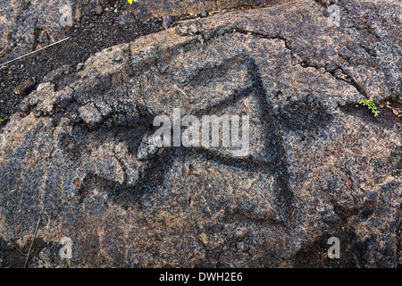 Pu‘u Loa Petroglyphs, Hawai'i Volcanoes National Park, Big Island, Hawaii, USA. Stock Photo