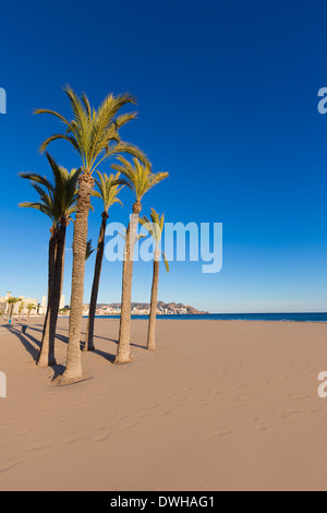 Benidorm Alicante playa de Poniente beach in spain Valencian community Stock Photo