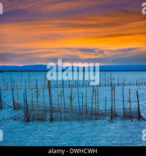 Albufera sunset lake park in Valencia el saler colorful sky of Spain Stock Photo
