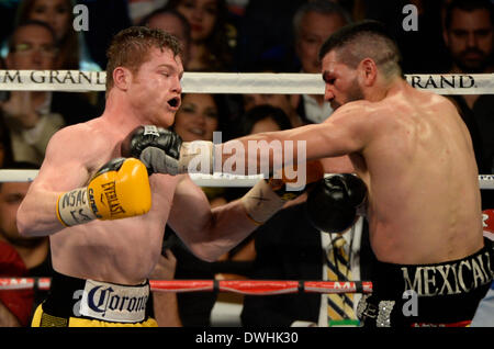 March 8, 2014. Las Vegas NV.(in-yellow trunks) Canelo Alvarez goes 10 rounds with a punching show Saturday night at the MGM Grand Hotel. Canelo did a bashing on Alfredo Angulo's face for more than 23 minutes before referee Tony Weeks intervened and stop the fight in the middle of the 10th round. Alfredo's trainer Virgil Hunter said at a press conference that he told referee Tony Weeks that he wanted the fight stop if Canelo continued with 2-3 multiple volley hits. Stock Photo