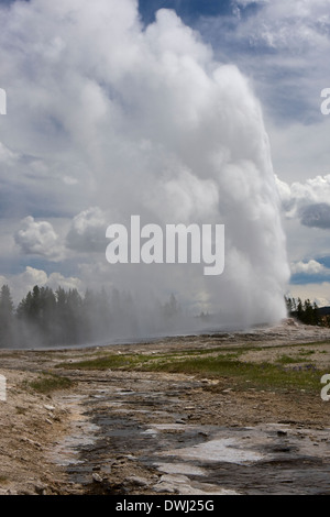 The Old Faithful geyser erupts with steam and water shooting up to the ...