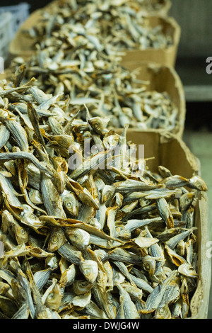 Dried Anchovies in a Kuala Lumpar market Stock Photo