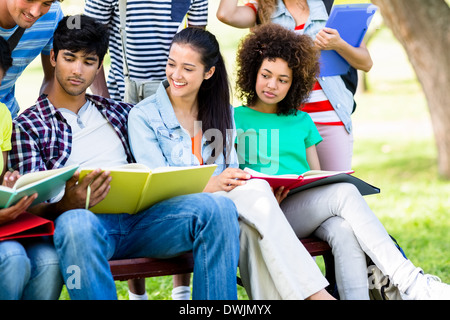 University students studying on bench Stock Photo