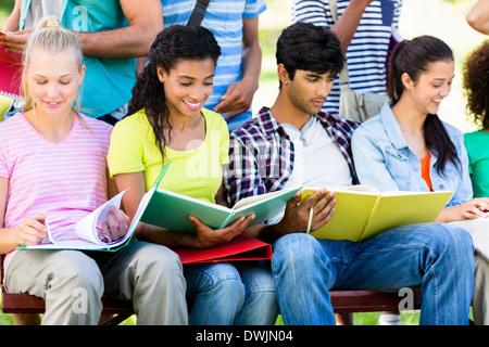 Students studying on bench Stock Photo