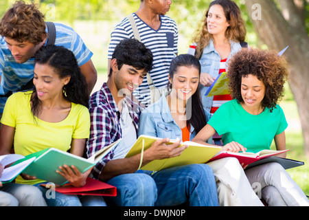 Students studying together on campus Stock Photo