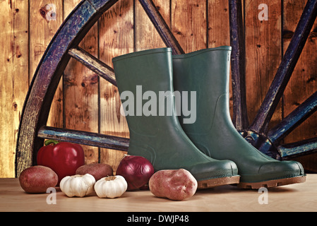 Rubber boots and various vegetable. Gardening concept - growing vegetables in home garden Stock Photo
