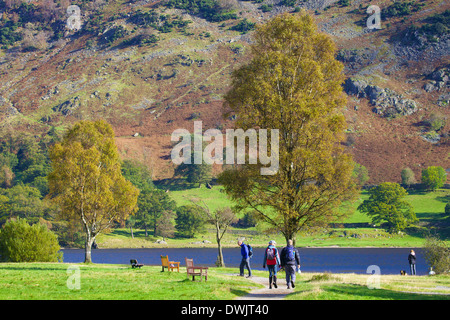 Tourists Walking on a path by a silver birch trees by a lake. Stock Photo