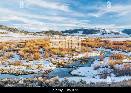 winter on beaver swamp in Northern Park, Colorado at the entry Gateway Canyon near Cowdrey Stock Photo