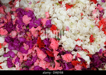 Flowers and garlands for sale at the flower market in the shadow of the Haora Bridge in Kolkata, West Bengal, India Stock Photo