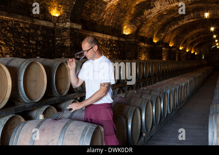 Wine maker testing fermentation in the cellars at Il Borro, agristurismo in San Giustino Val D'Arno, Tuscany, Italy Stock Photo