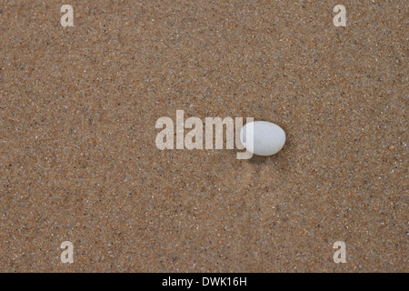 White stone on beach Stock Photo