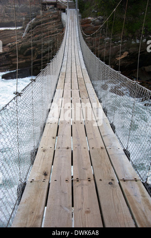 Vertical shot of a suspension bridge over the Brahmaputra river in ...