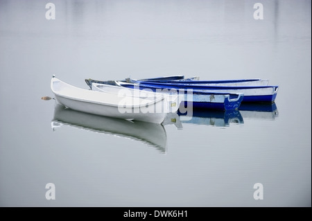 Abandoned fishing paddle boat on sand of sea bay. Quiet sea water level  within morning windless Stock Photo - Alamy