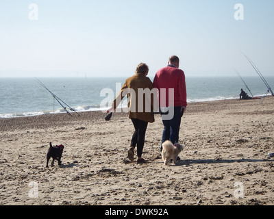 A senior couple walking two dogs on Eastney beach, Portsmouth, England Stock Photo