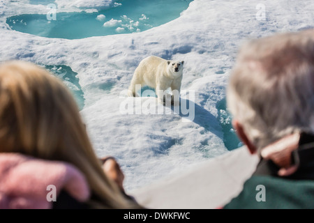 Guests from the Lindblad Expedition ship with polar bear (Ursus maritimus), Cumberland Peninsula, Baffin Island, Nunavut, Canada