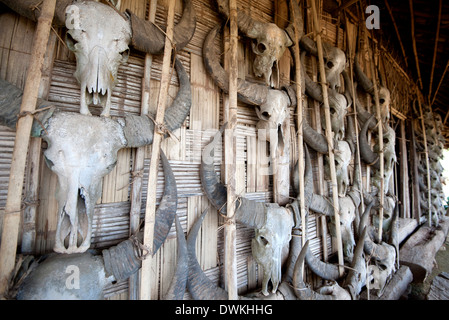 Bamboo wall of tribal chief's house holding skulls of animals hunted by the village tribesmen, Chingnyu, Nagaland, India Stock Photo