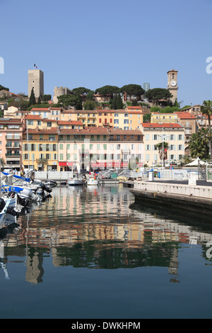 Harbor, Port, Le Suquet, Old Town, Cannes, Alpes Maritimes, Cote d'Azur, Provence, French Riviera, France, Europe Stock Photo