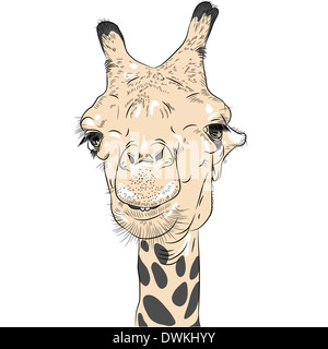 sketch closeup portrait of funny Giraffe Stock Photo