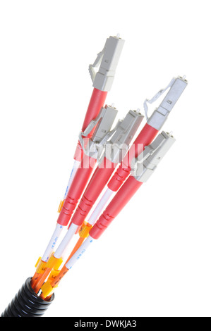 Optical patch cords isolated on white background Stock Photo