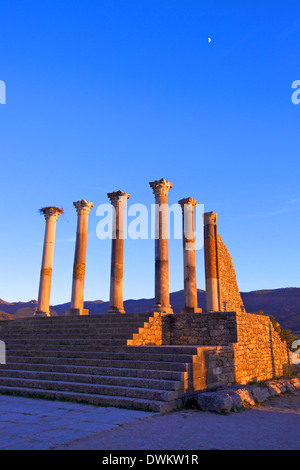 Excavated Roman City, Volubilis, UNESCO World Heritage Site, Morocco, North Africa, Africa Stock Photo