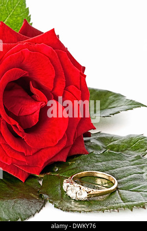 Bright red Rose with a Diamond Ring Stock Photo