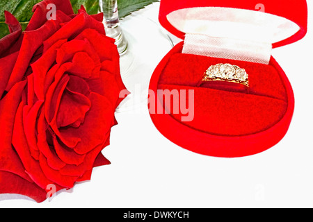 Deep red rose with diamond ring in box Stock Photo