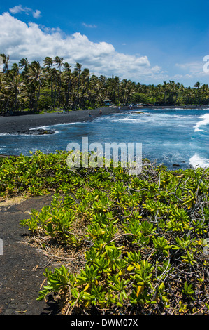 Punaluu Black Sand Beach on Big Island, Hawaii, United States of America, Pacific Stock Photo