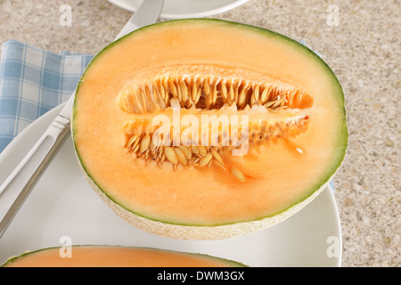 Cantaloupe melon a popular orange fleshed melon Stock Photo