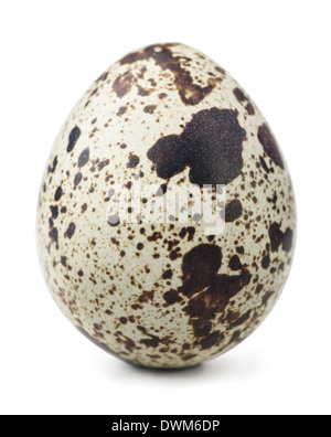 Single quail egg isolated on white Stock Photo