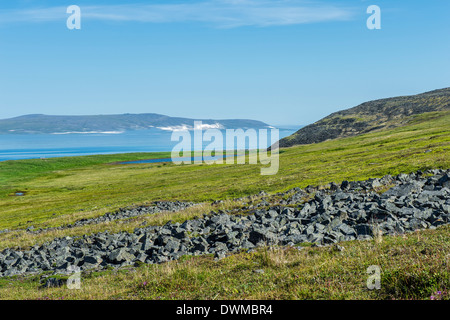 Ittygran Island, Chukotka, Russia, Eurasia Stock Photo