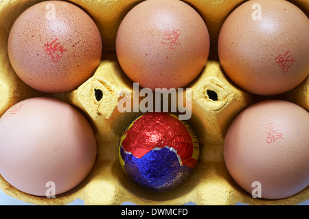 carton of free range eggs with one replaced by a Cadbury creme egg - concept different, standing out from the crowd, odd one out Stock Photo