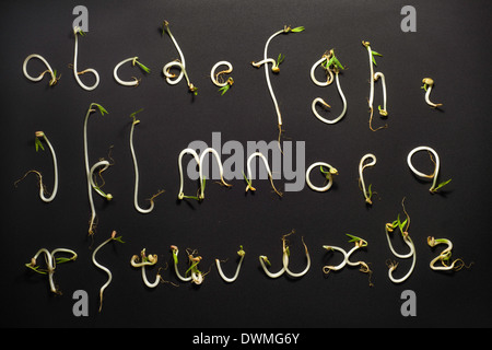 lowercase letters made of bean sprouts on the blackboard Stock Photo