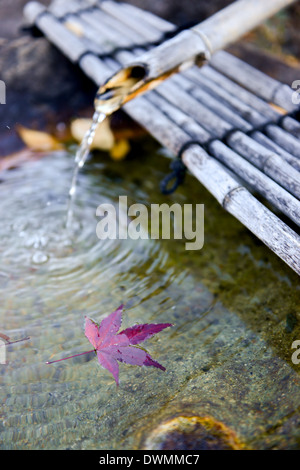 Japanese Bamboo fountain with Autumn Red Maple Leaf. Stock Photo