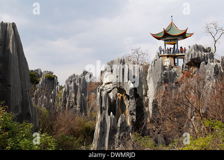 Limestone pinnacles in Shilin, Stone Forest, at Lunan, Yunnan, China, Asia Stock Photo