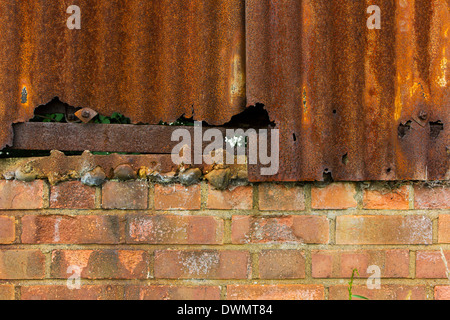 Rusty corrugated iron and brick wall texture background Stock Photo