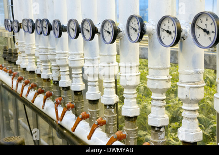 Greenhouse guages in the geothermally heated greenhouses in Frioheimar Iceland Stock Photo