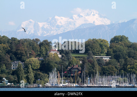 Marina, Lake Geneva, Switzerland, Europe Stock Photo