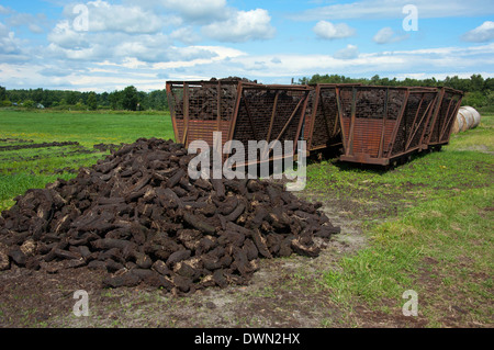 Peat cutting, Wiesmoor Stock Photo