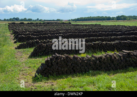 Peat cutting, Wiesmoor Stock Photo