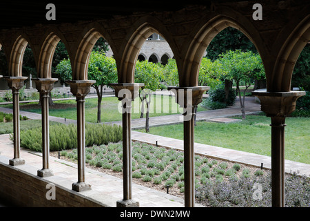Pedralbes Monastery cloister, Barcelona, Catalonia, Spain, Europe Stock Photo